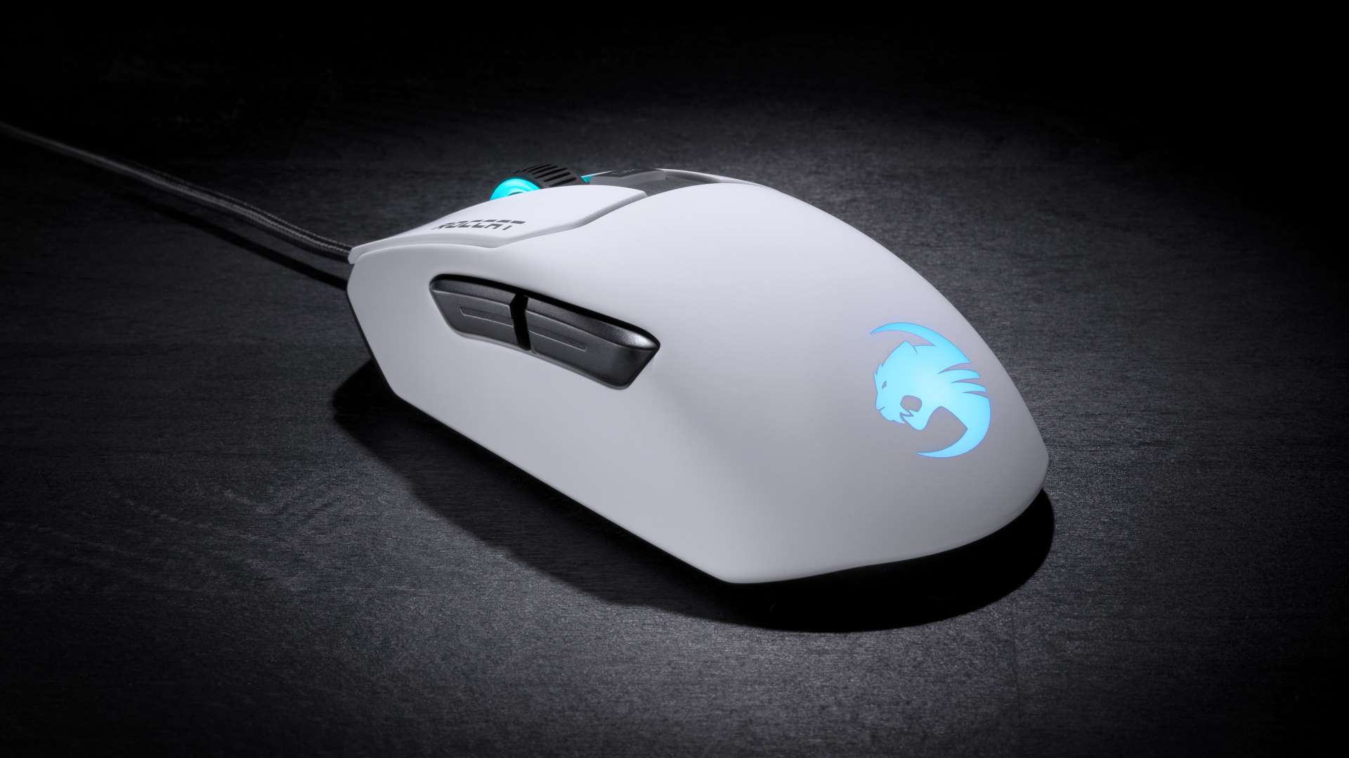 Стоит ли покупать Roccat Kain 120 Aimo