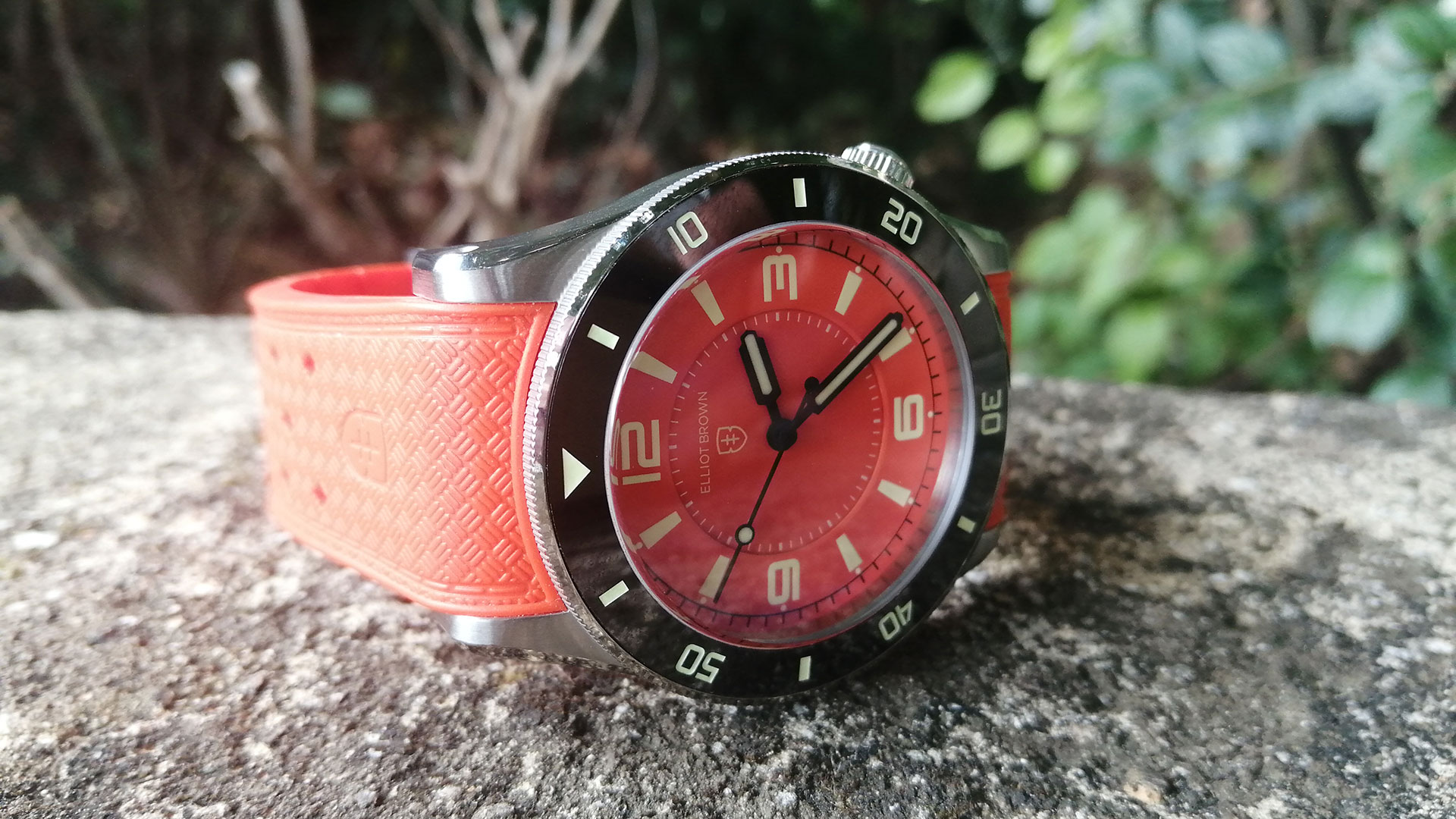   Часы Elliot Brown Bloxworth Heritage Diver