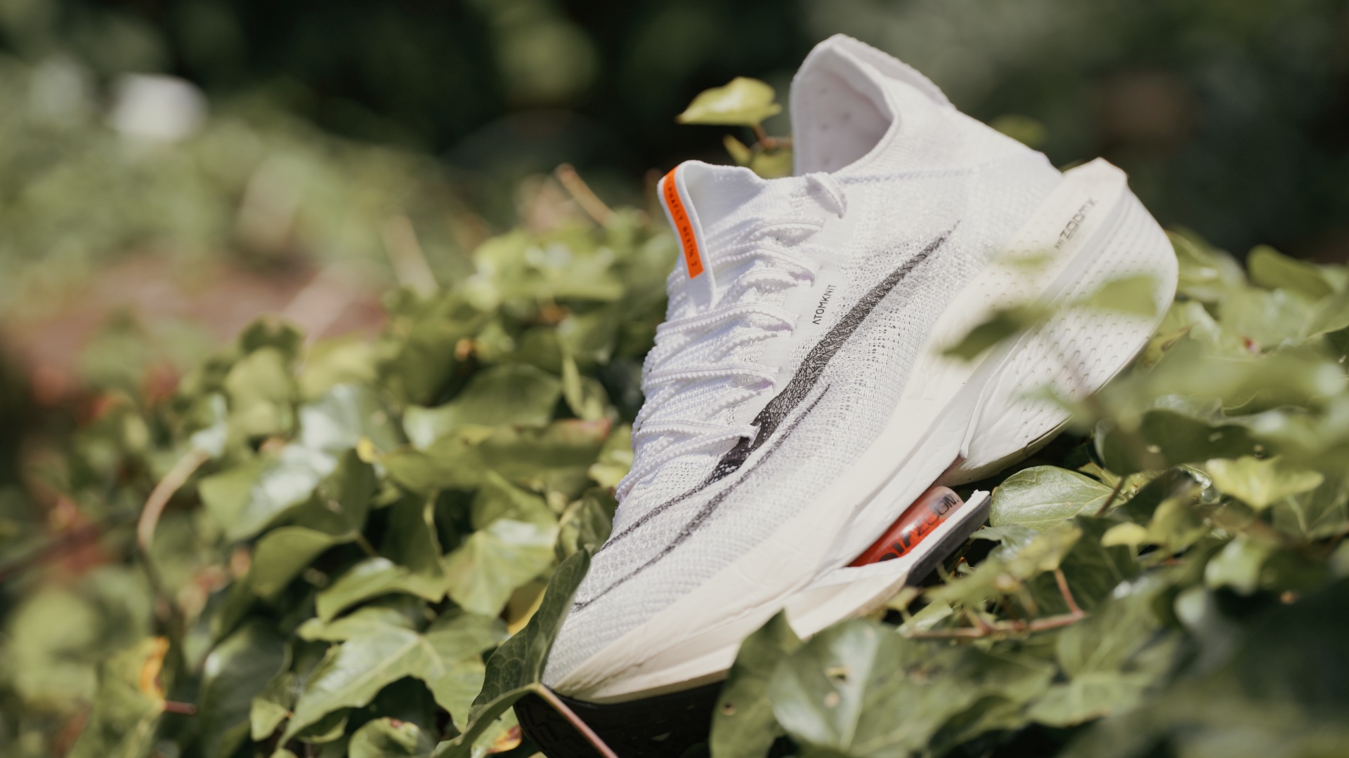 Nike Air Zoom Alphafly NEXT% 2 обзор