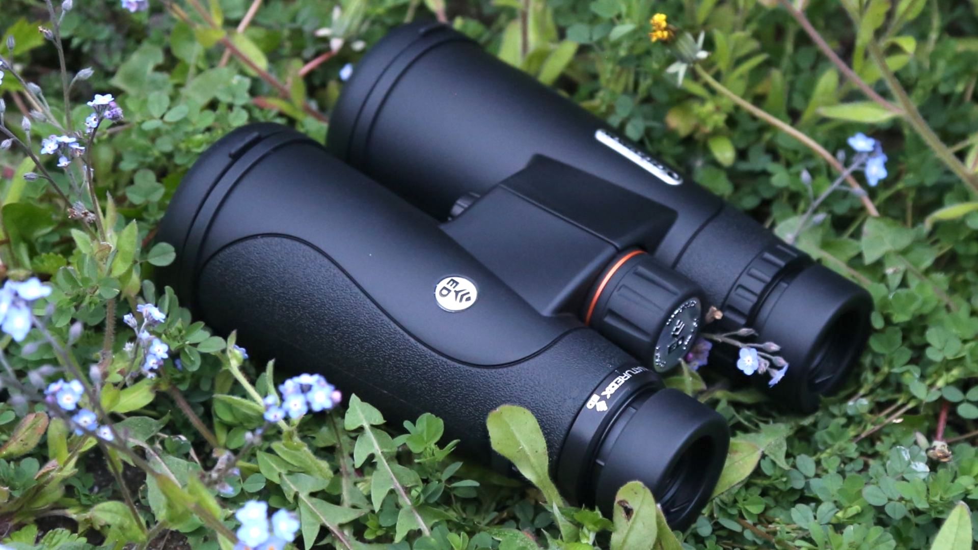 Бинокль Celestron Nature DX ED 12x50