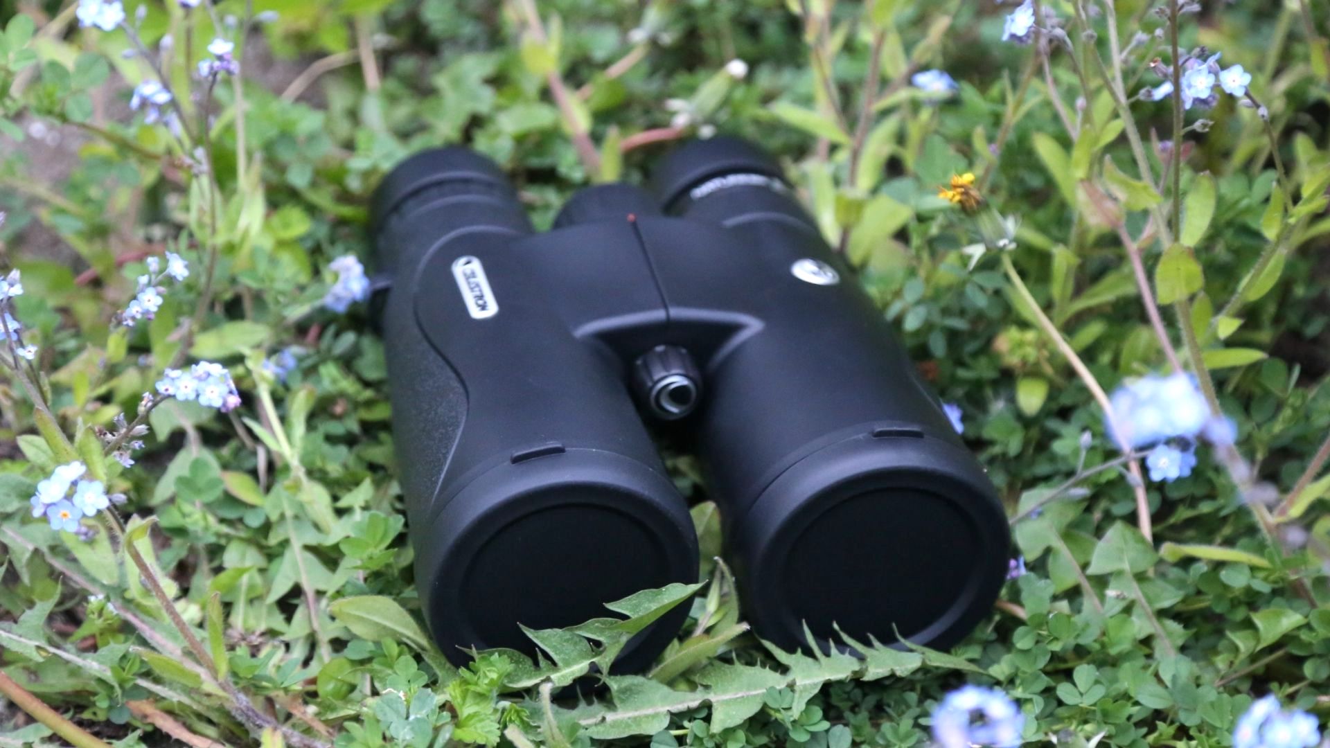 Бинокль Celestron Nature DX ED 12x50 на траве