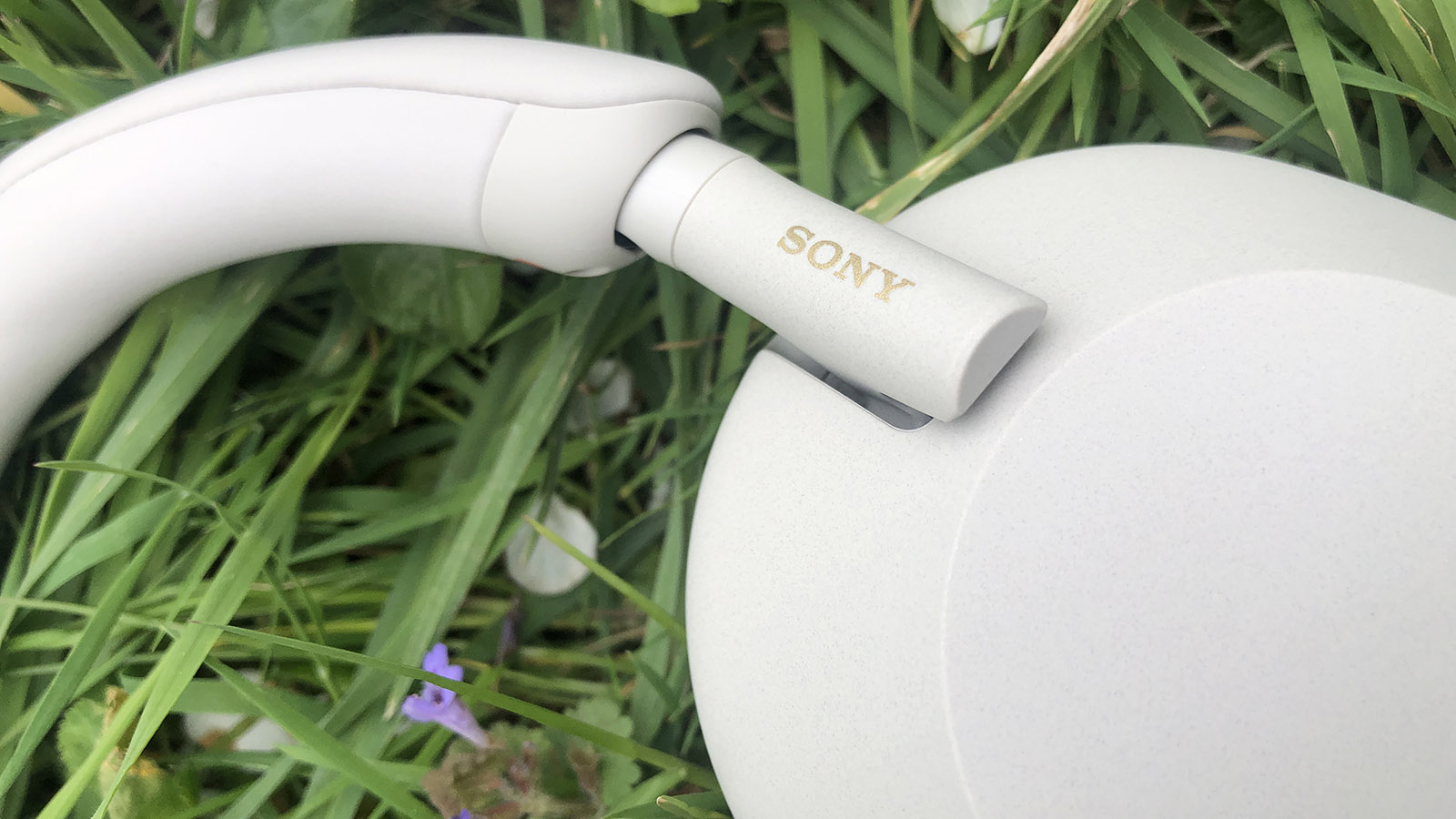 Sony WH-1000XM5 на траве с логотипом Sony