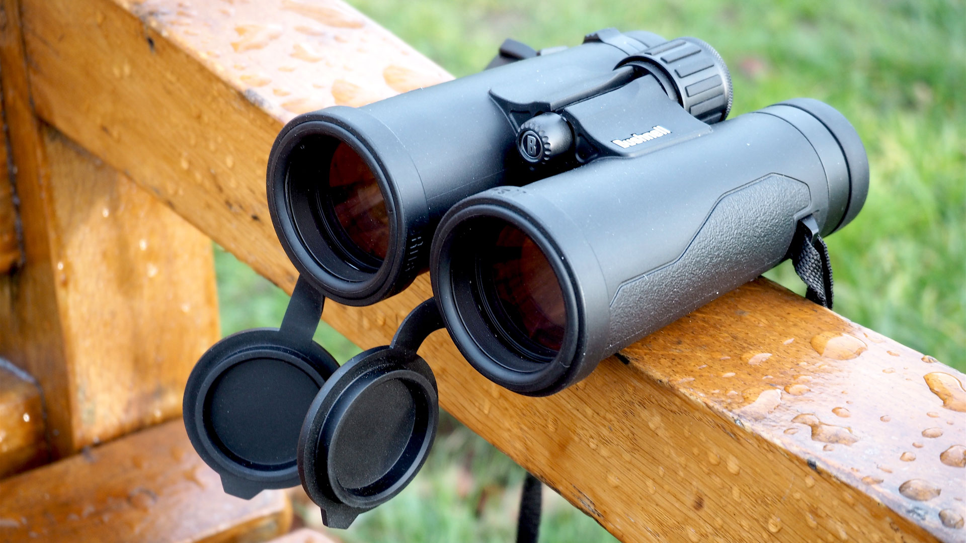 Бинокль Bushnell Engage EDX 8x42 