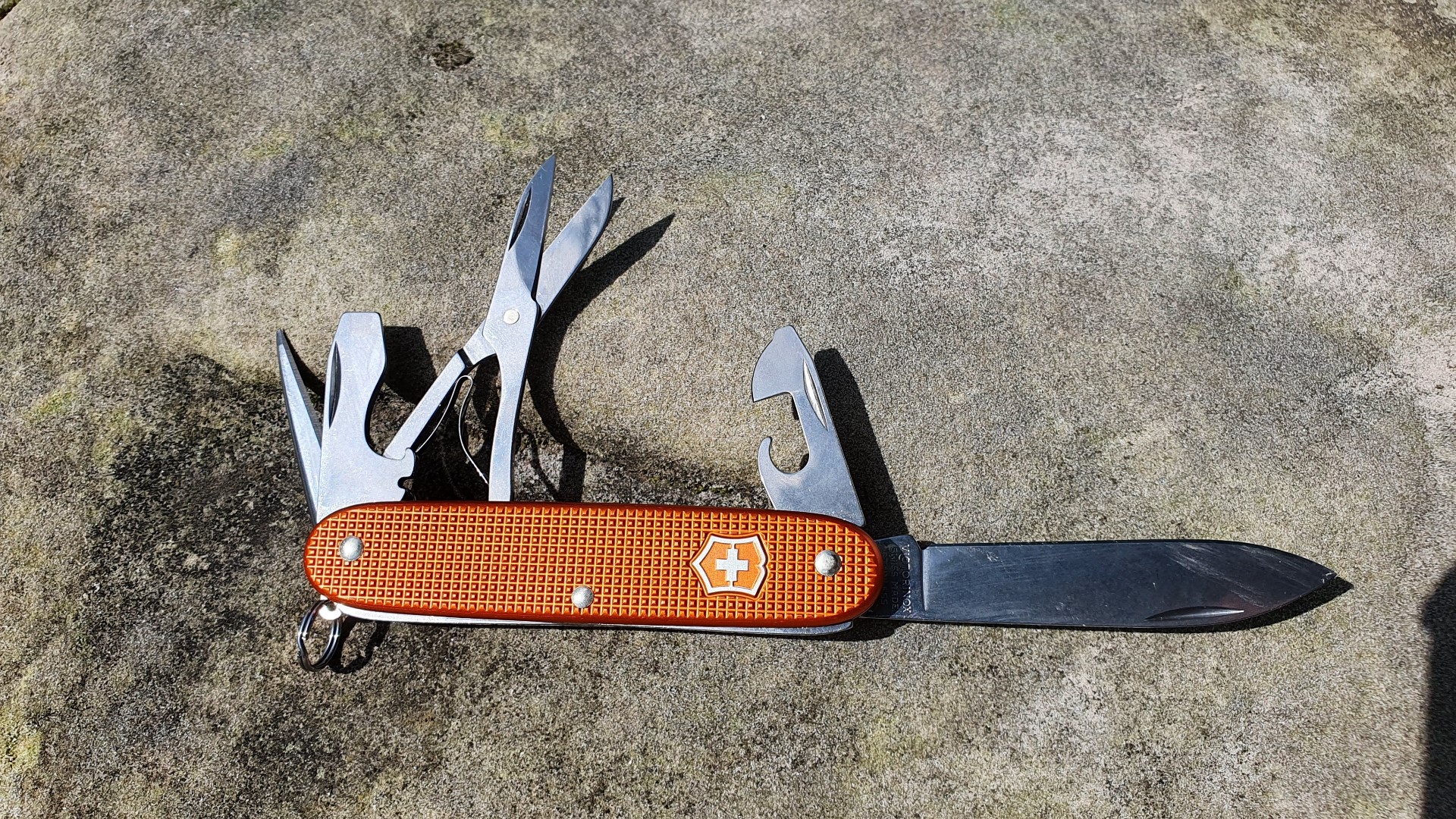 Victorinox Swiss Army Pioneer X Alox