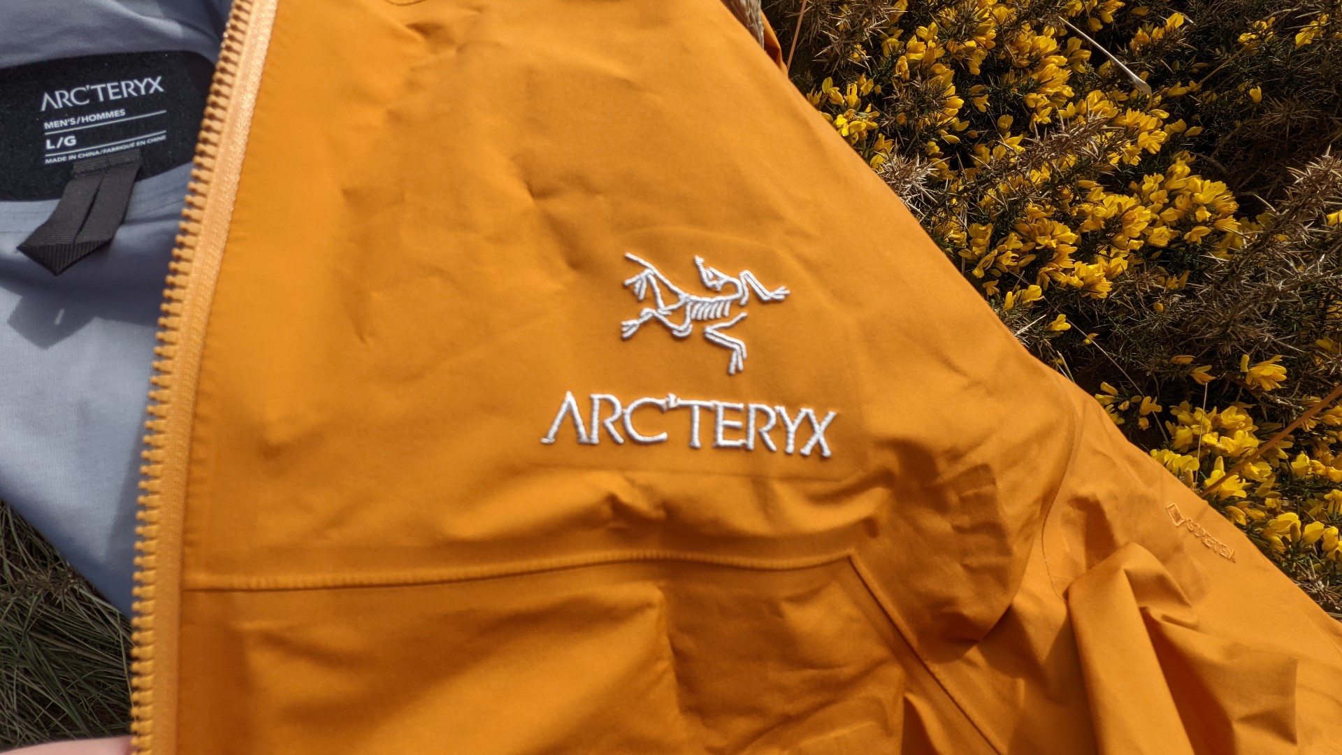 Куртка Arcteryx Beta