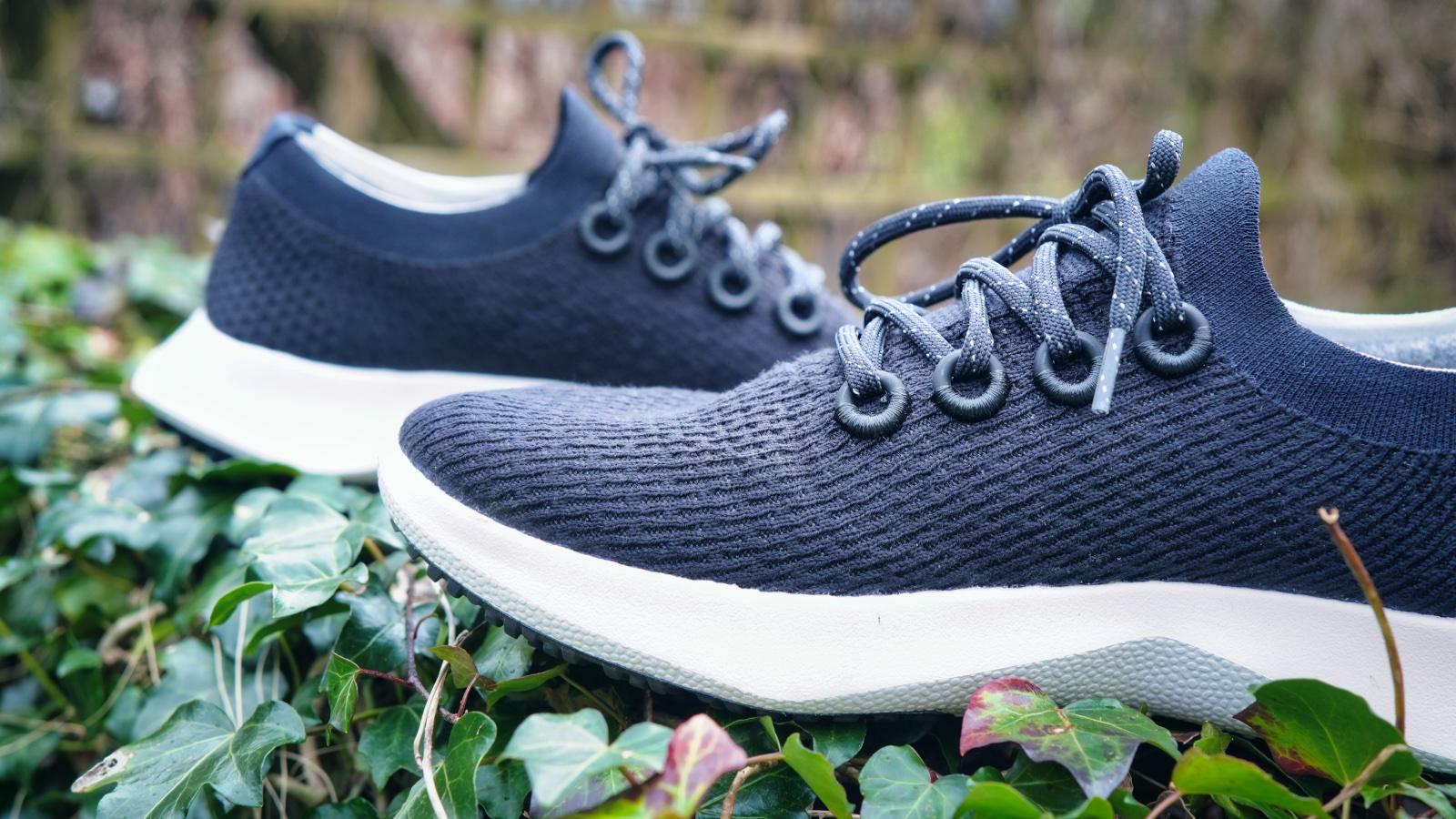 Обзор Allbirds Tree Dasher 2 T3