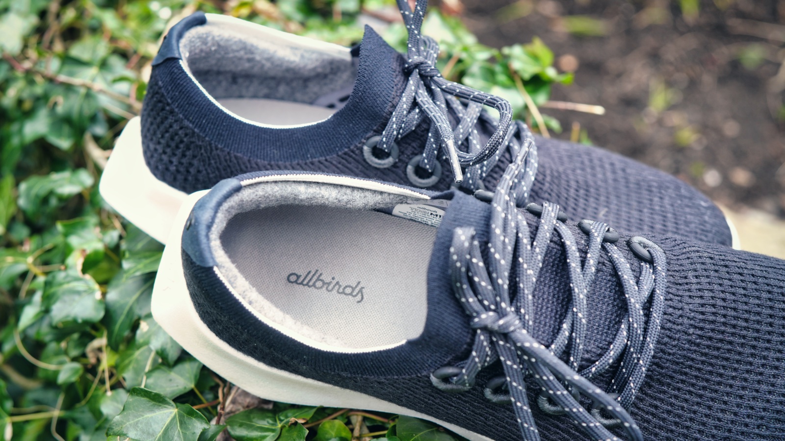 Обзор Allbirds Tree Dasher 2 T3