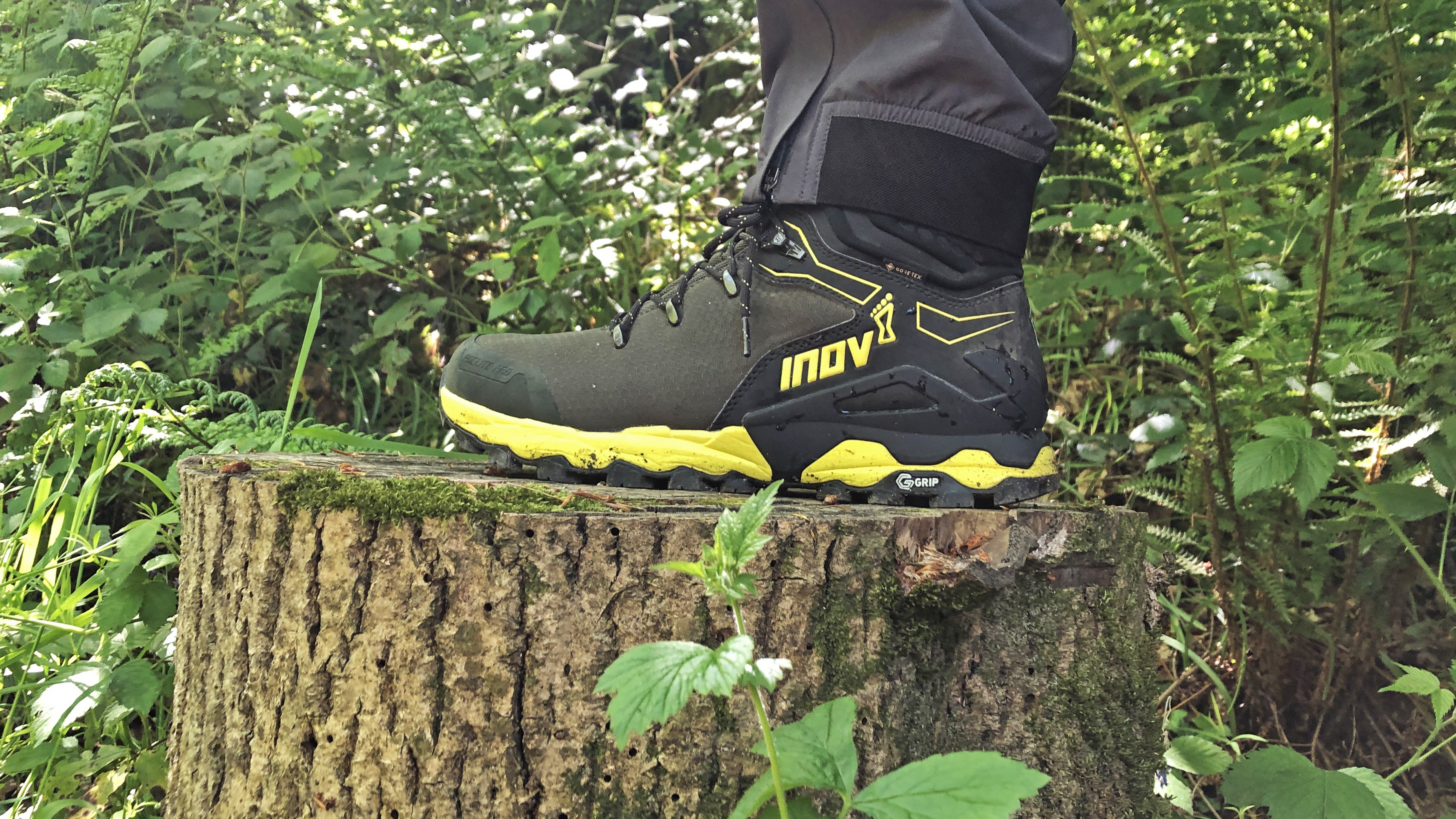 Обзор Inov-8 Roclite Pro G 400 GTX V2